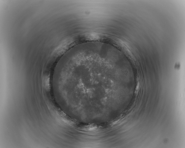 X0000094230267200711021210