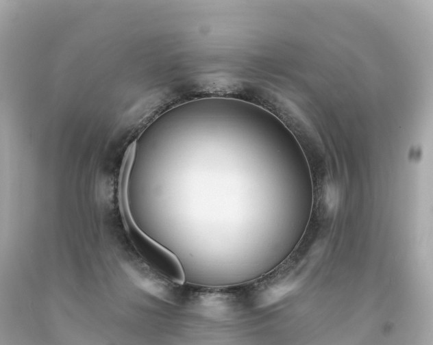 X0000094230268200711021210