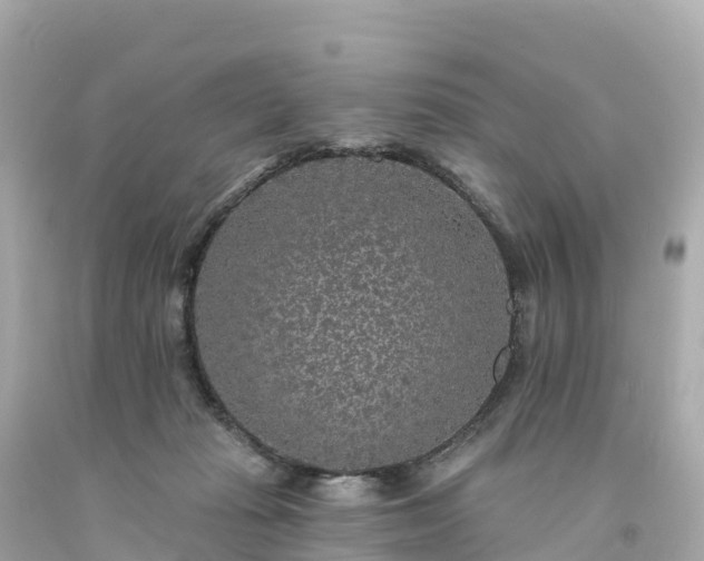 X0000094230269200711021210