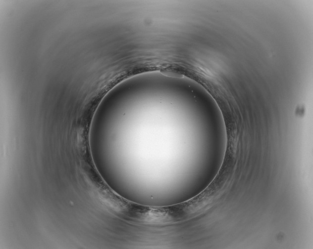 X0000094230270200711021210