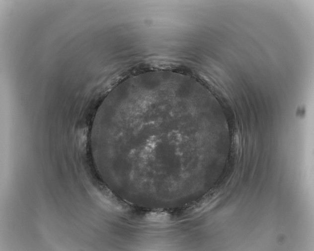 X0000094230271200711021210