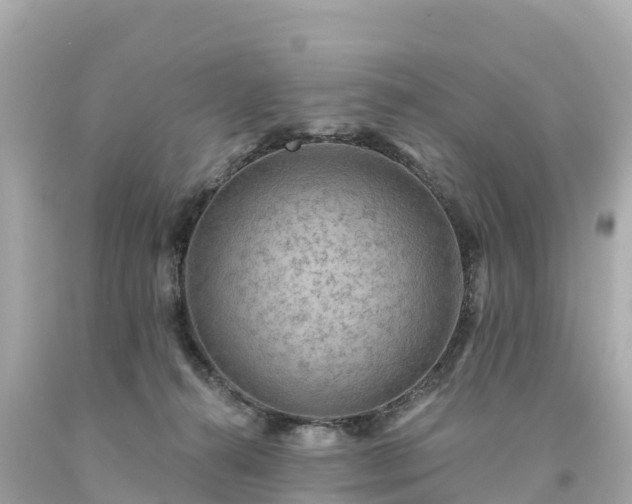 X0000094230272200711021210