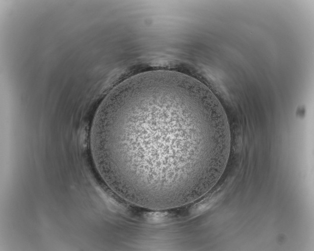 X0000094230273200711021210