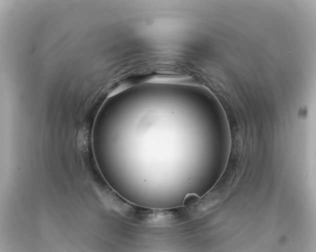 X0000094230274200711021210