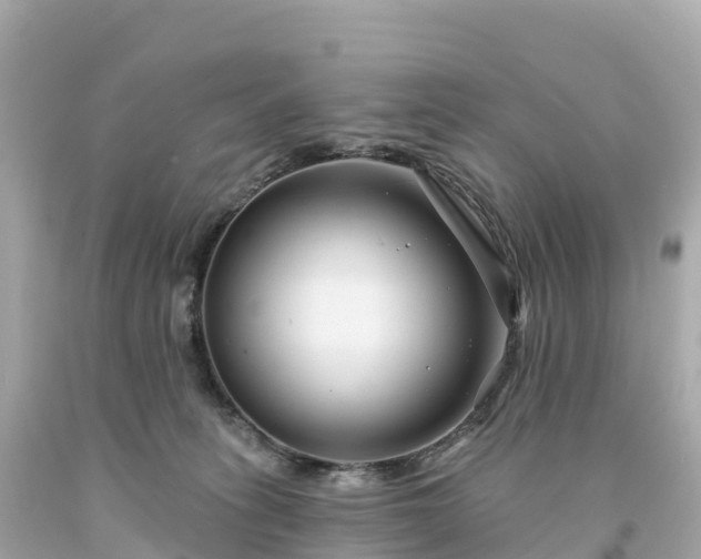 X0000094230275200711021210