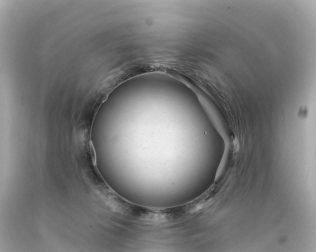 X0000094230276200711021210