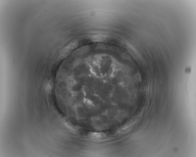 X0000094230277200711021210