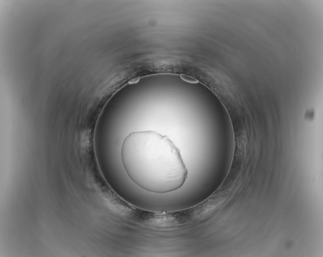 X0000094230278200711021210