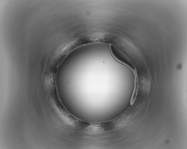 X0000094230280200711021210