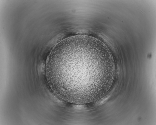 X0000094230281200711021210