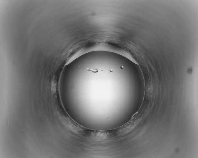 X0000094230282200711021210