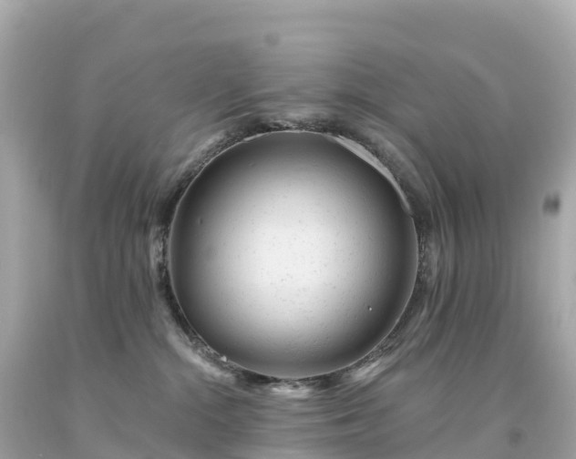 X0000094230284200711021210