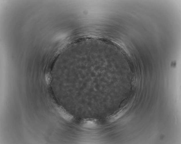 X0000094230285200711021210