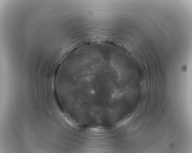 X0000094230286200711021210