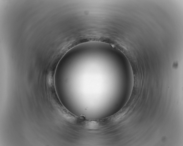 X0000094230287200711021210