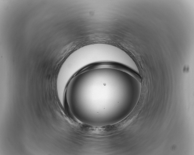 X0000094230288200711021210