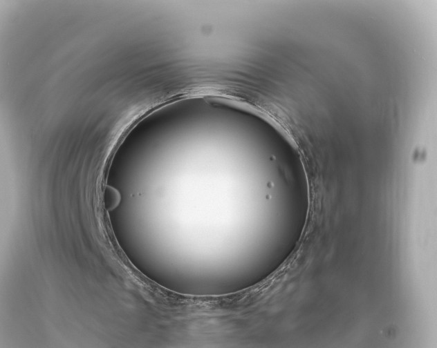 X0000094230289200711021210