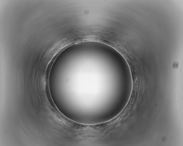 X0000094230290200711021210