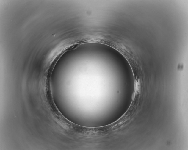 X0000094230291200711021210