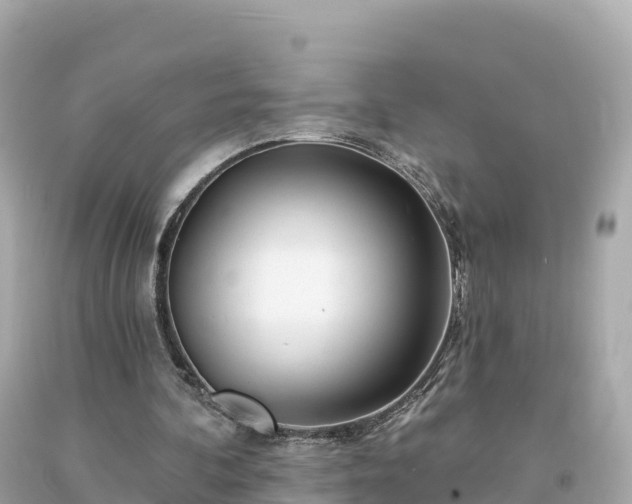 X0000094230292200711021210