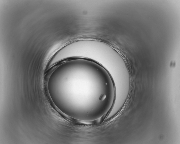 X0000094230293200711021209