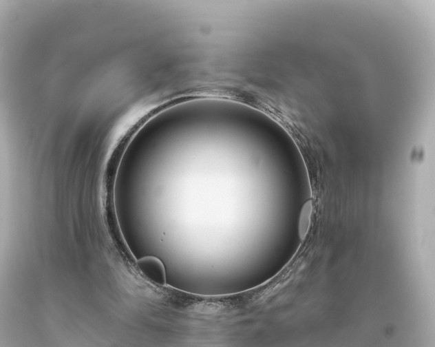 X0000094230294200711021209