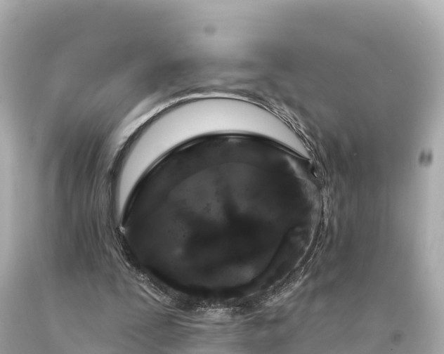 X0000094230295200711021209