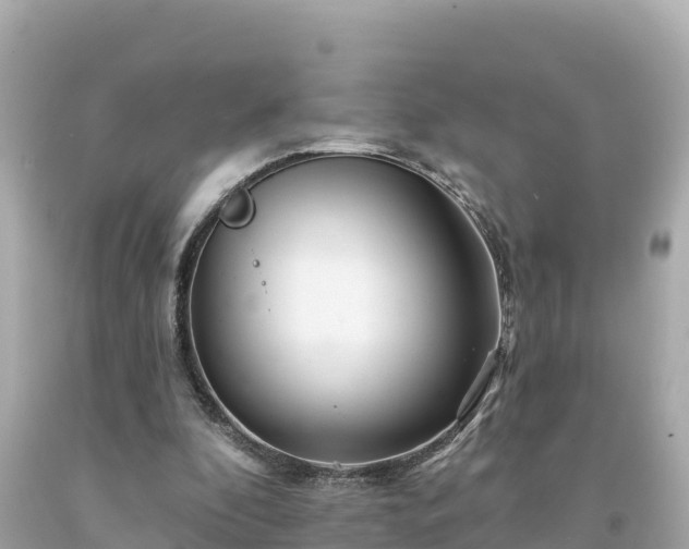 X0000094230296200711021209