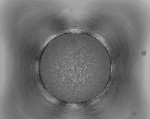 X0000094230297200711021209