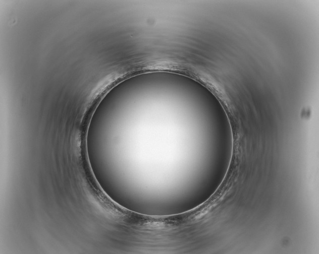 X0000094230298200711021209