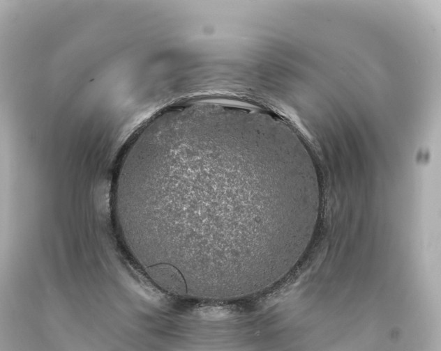 X0000094230299200711021209