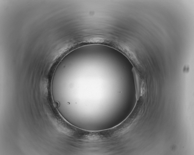 X0000094230300200711021209