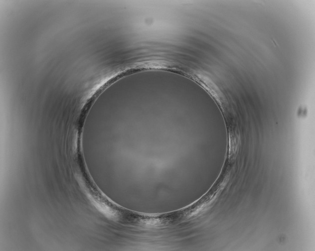 X0000094230301200711021209