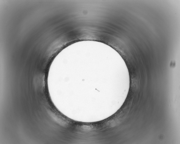 X0000094230302200711021209