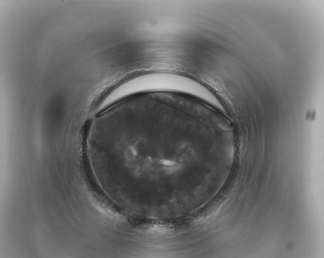 X0000094230303200711021209