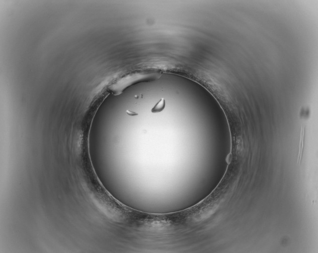 X0000094230304200711021209