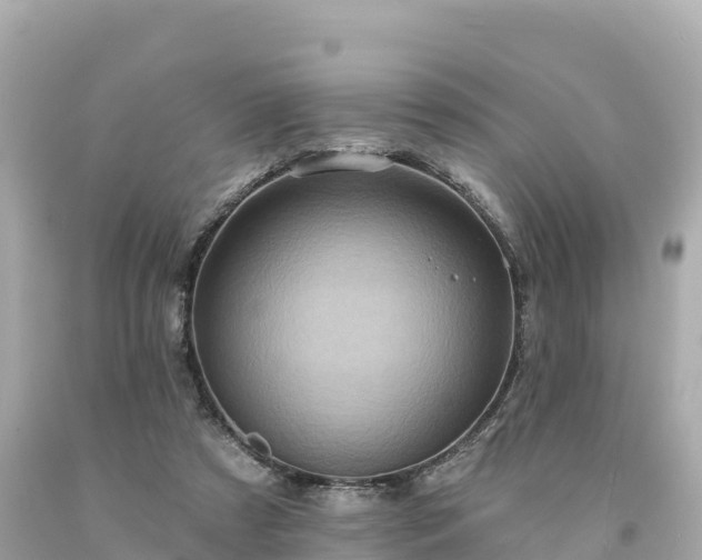 X0000094230305200711021209