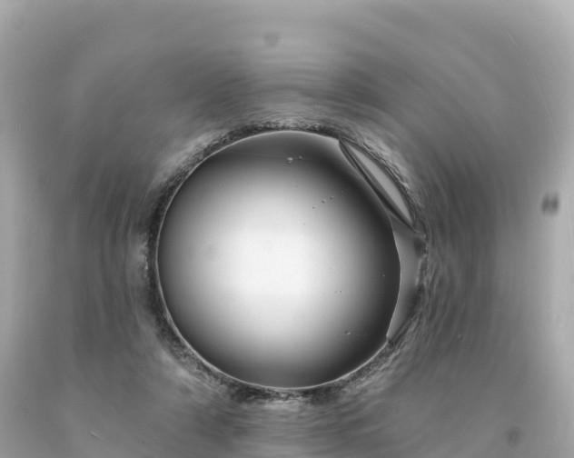 X0000094230306200711021209