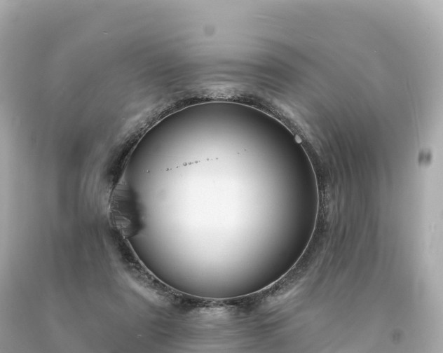 X0000094230307200711021209