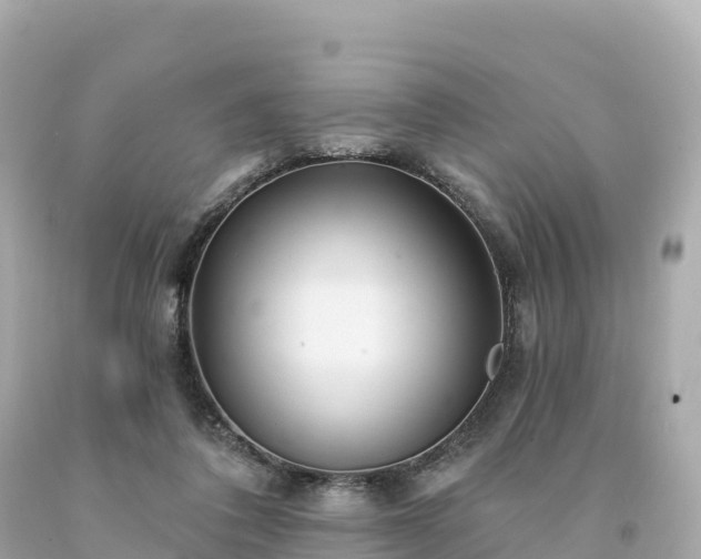 X0000094230308200711021209