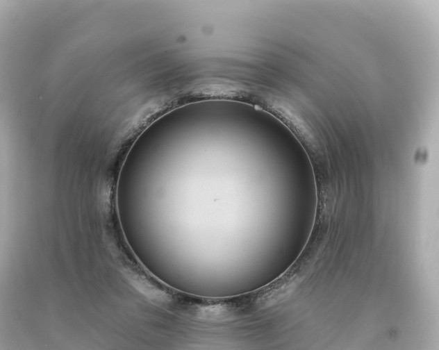 X0000094230309200711021209