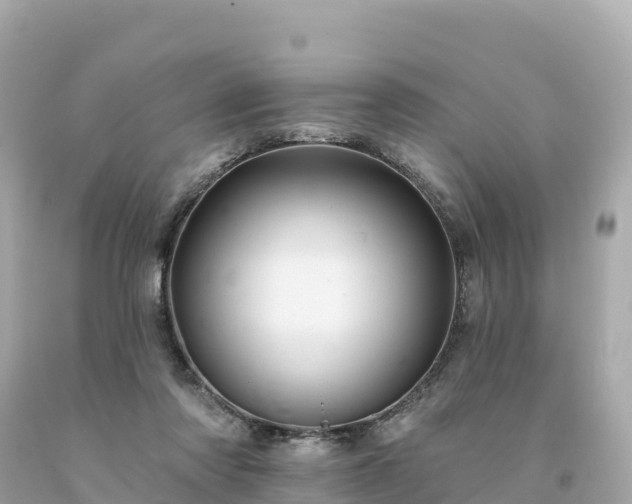 X0000094230310200711021209