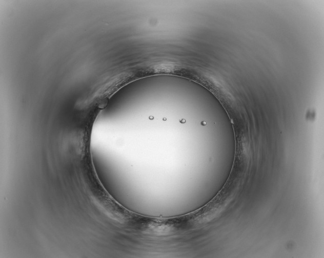 X0000094230311200711021209