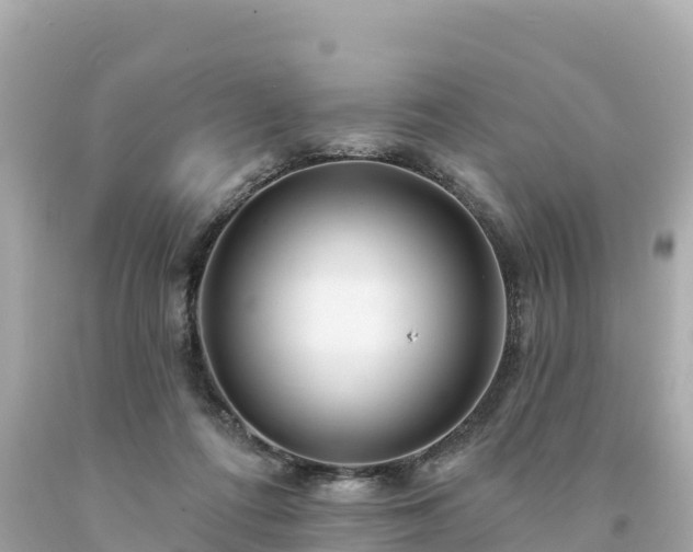 X0000094230312200711021209