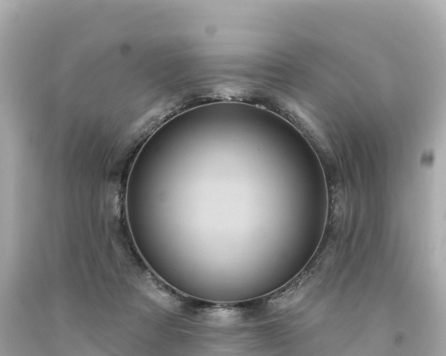 X0000094230313200711021209