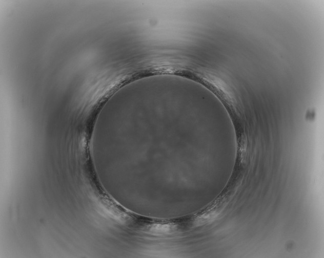 X0000094230314200711021209