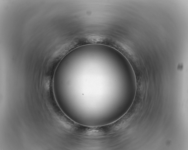 X0000094230315200711021209