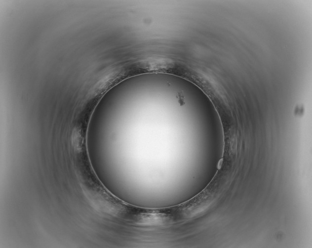 X0000094230316200711021209