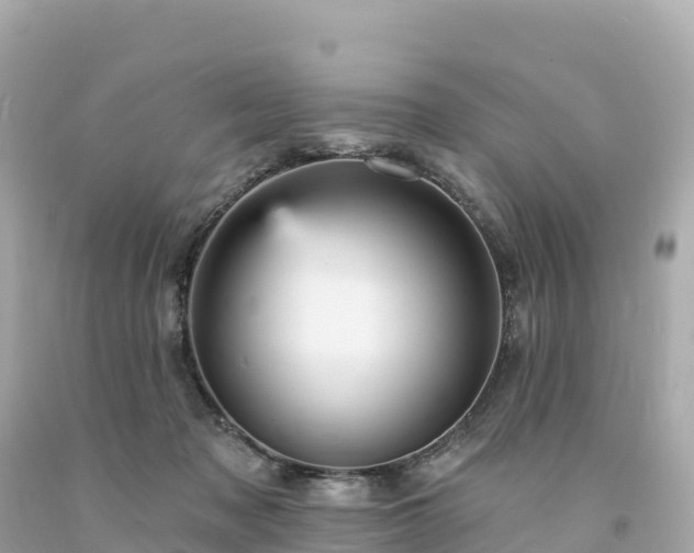 X0000094230317200711021209