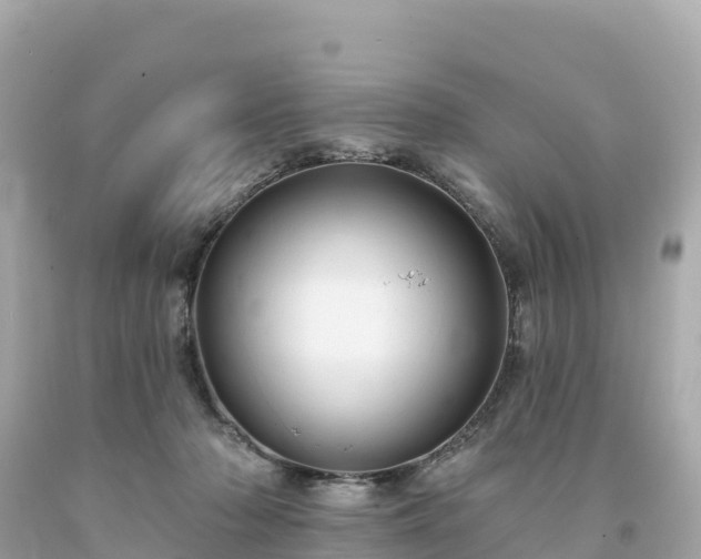 X0000094230318200711021209